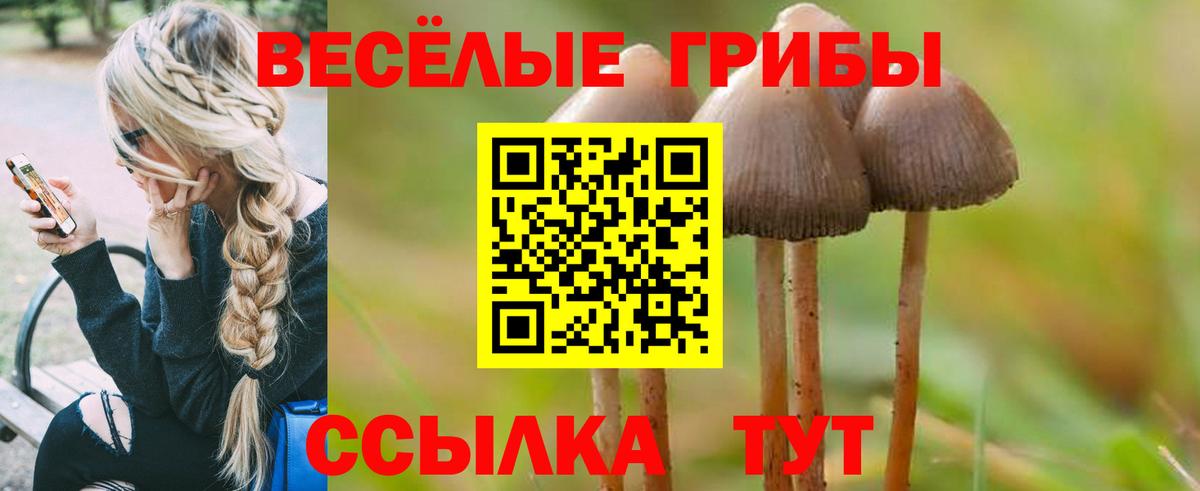 как найти закладки  Галлюциногенные грибы Magic Shrooms  Вход с VPN  Красногорск 